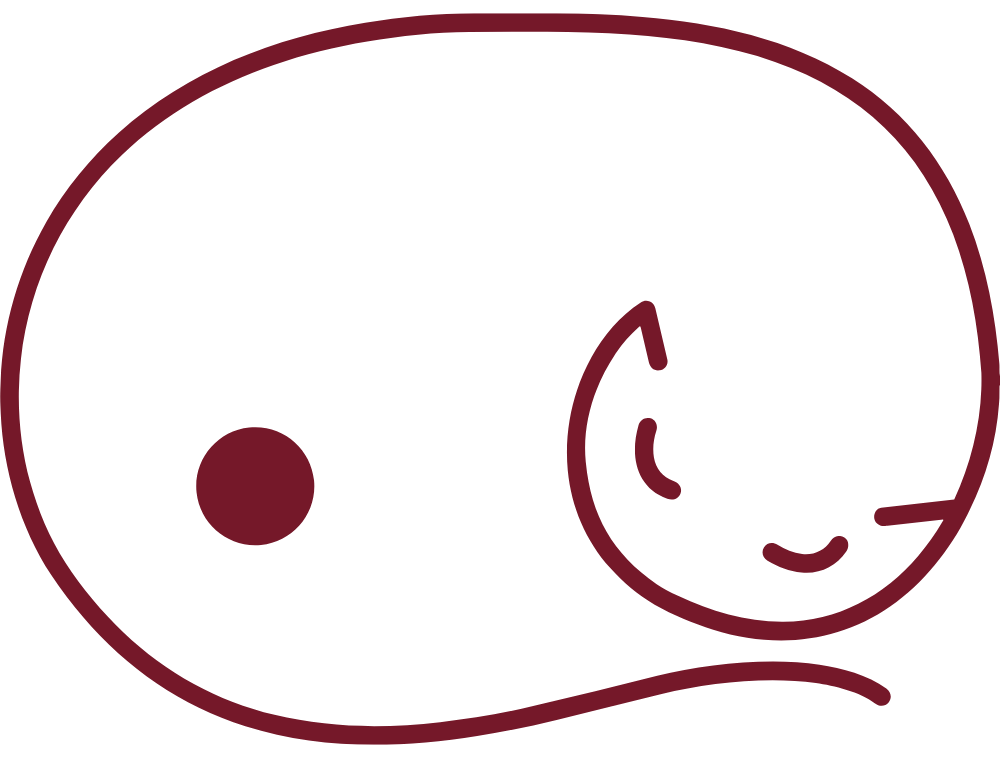 Catnap logo